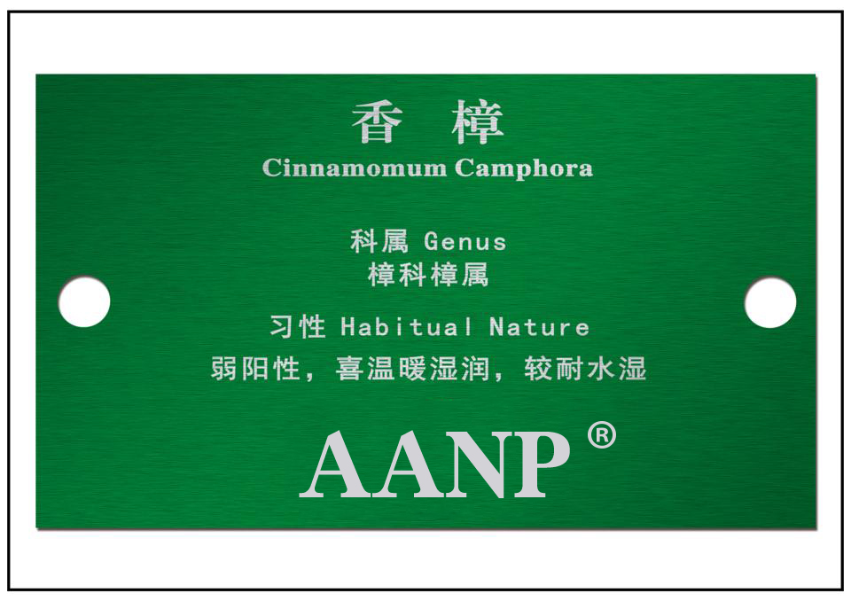 物业树木铭牌